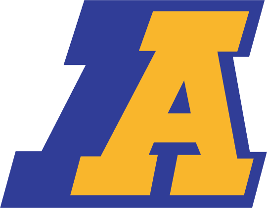 Akron Zips 1986-2001 Primary Logo iron on transfers for fabric